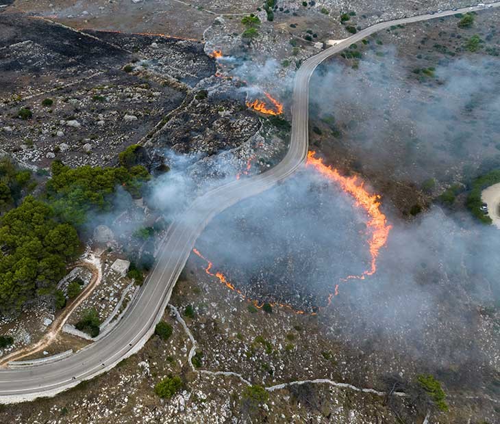 Recovering Fast After Wildfire Disruptions | Allianz