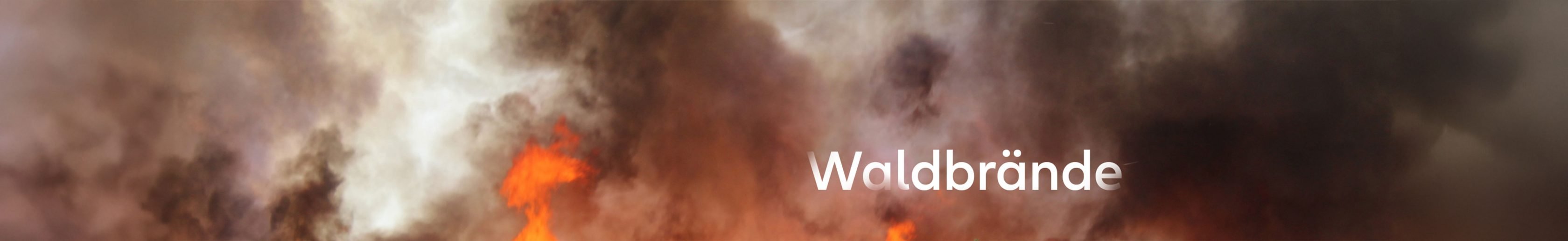  Nahaufnahme eines Feuers mit Rauch und einer Schlagzeile mit der Aufschrift „Waldbrände“.