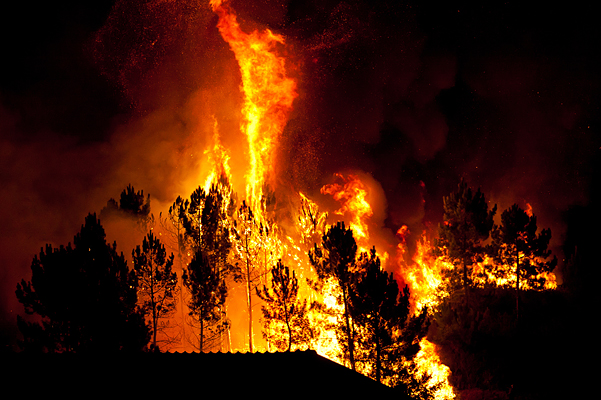Waldbrände gehörten zwar immer schon zum kalifornischen Sommer, entwickeln sich jetzt aber zu einer ganzjährigen Bedrohung. Zum Schutz von Häusern in gefährdeten Gegenden sind vorbeugende Maßnahmen unerlässlich.