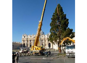 Der Weihnachtsbaum wird am Petersplatz in Rom aufgestellt.
