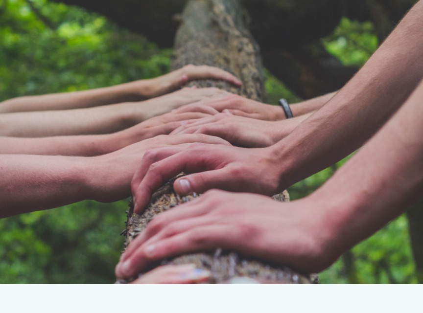 many hands touching a tree