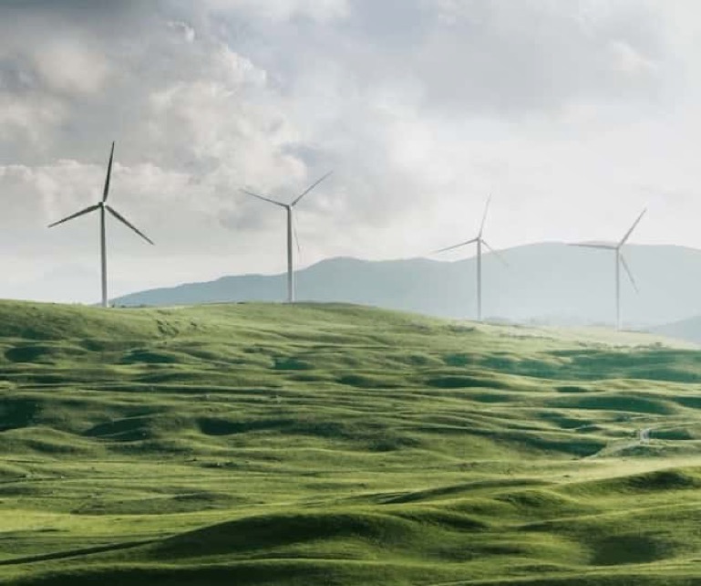 Wind power farm in landscape