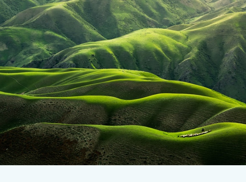 green hills landscape