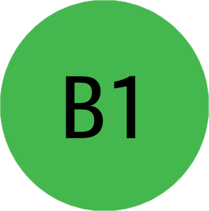 Moderate risk of payments disruption