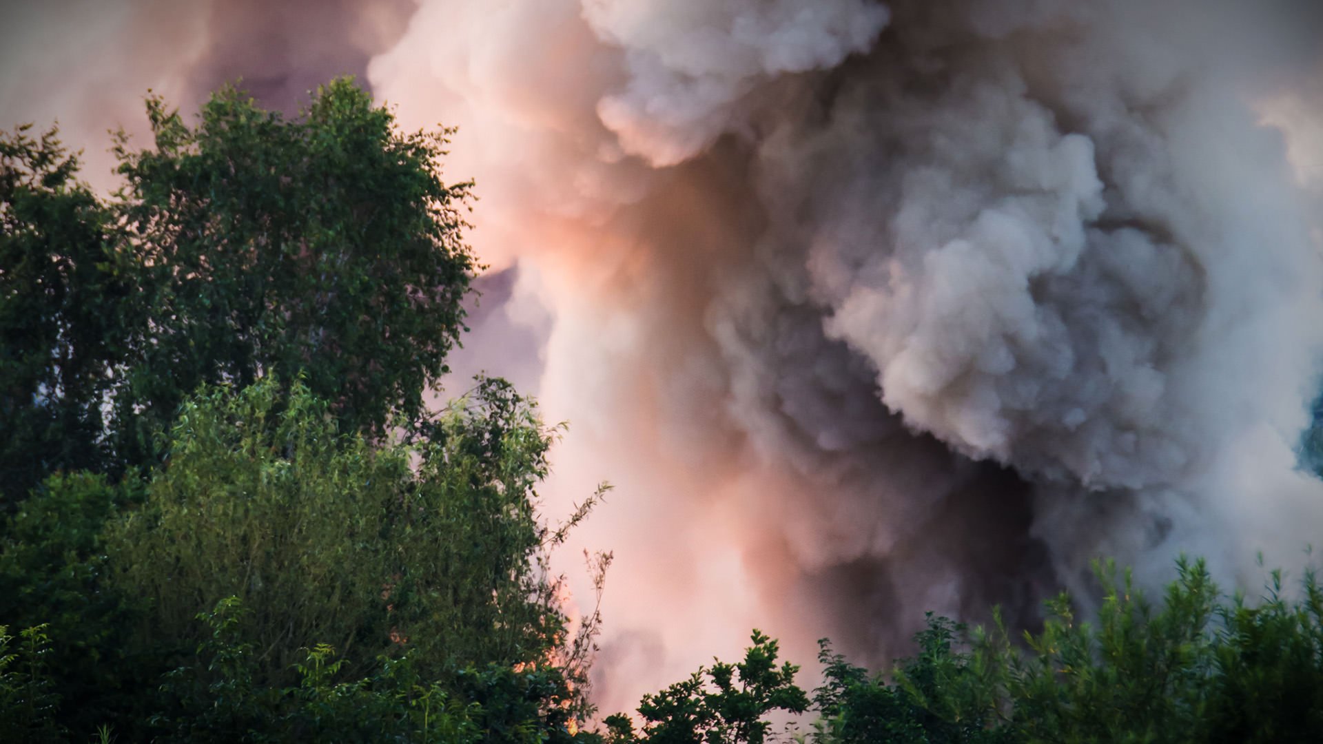 Thick smoke rising behind green trees, symbolizing environmental pollution.