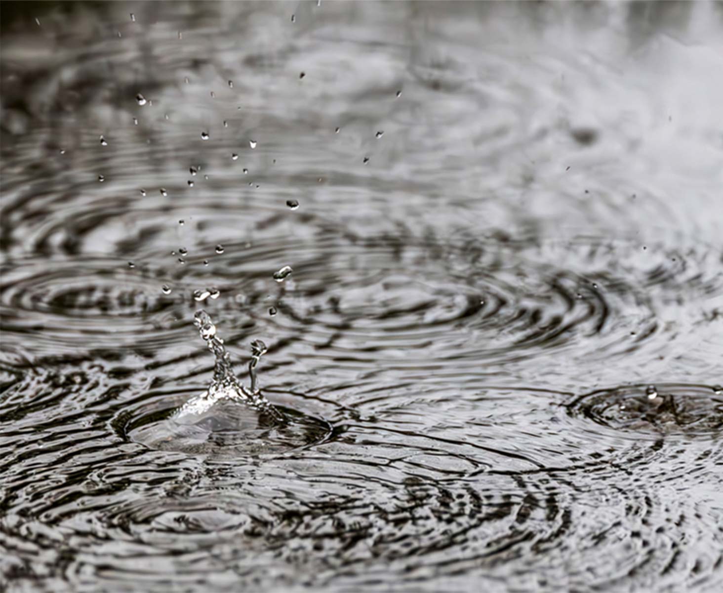 Close-up of raindrops