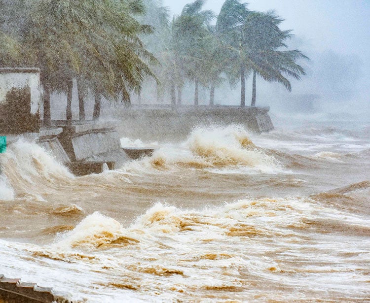 Roaring waves with rain along a coastline lined with palm trees