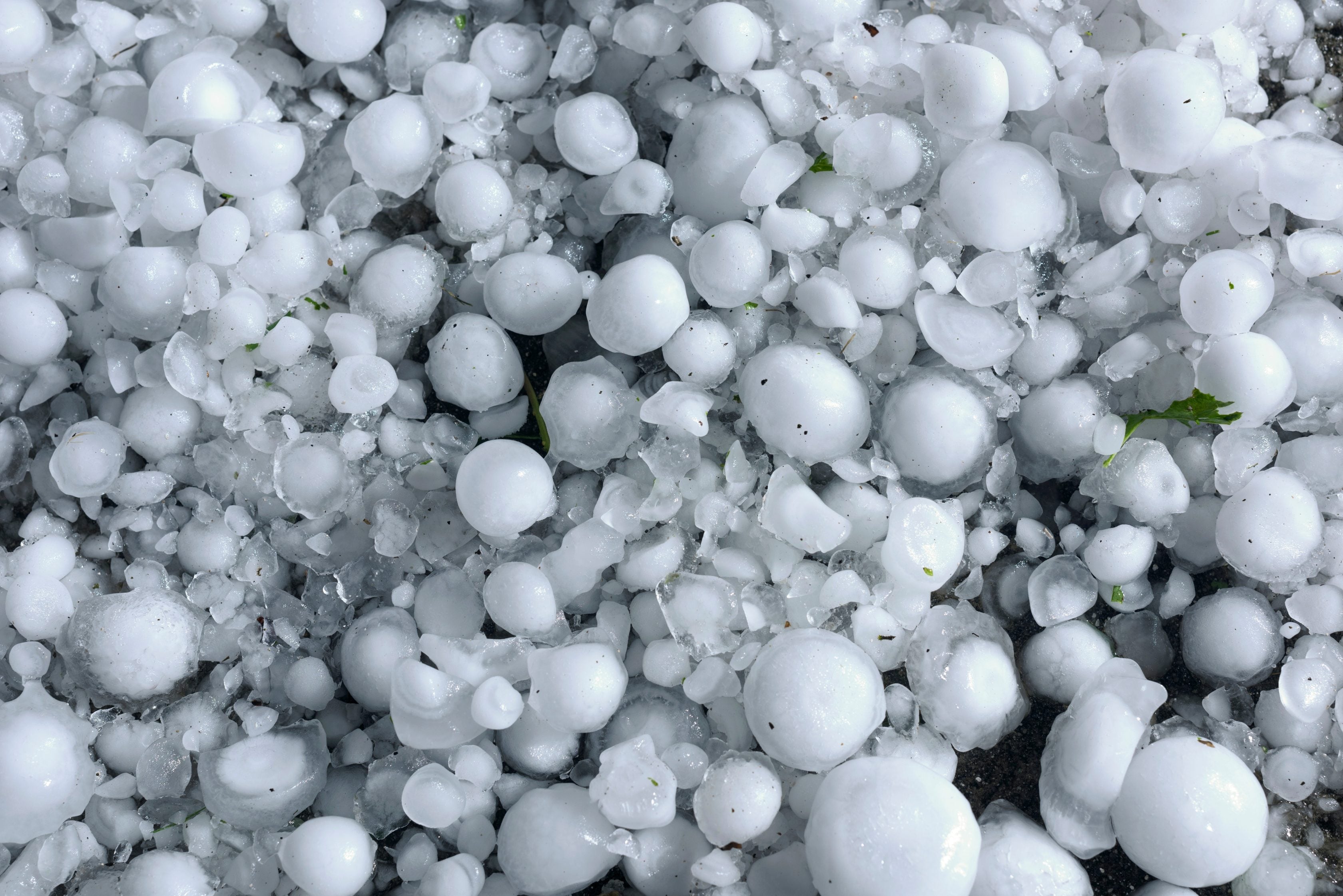 Hailstones of varying sizes covering the ground after a severe hailstorm, with many broken ice fragments visible