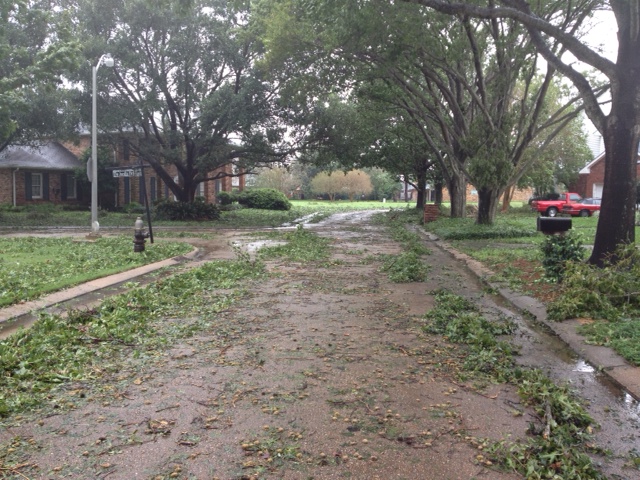 Streets covered in leaves after Hurricane Isaac (photo: Austin Tucker)