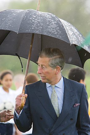 Prince Charles has been a strong advocate of climate protection for decades.