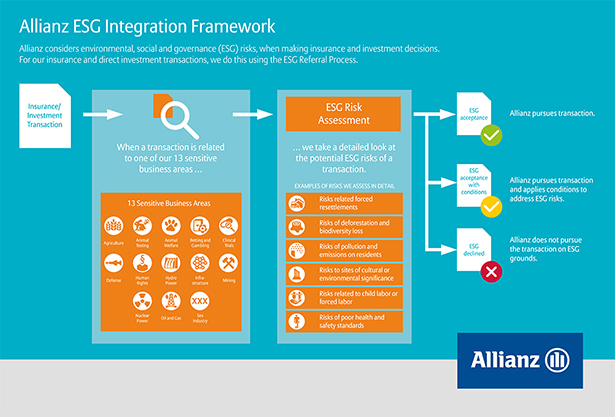 Allianz SE Integration Framework