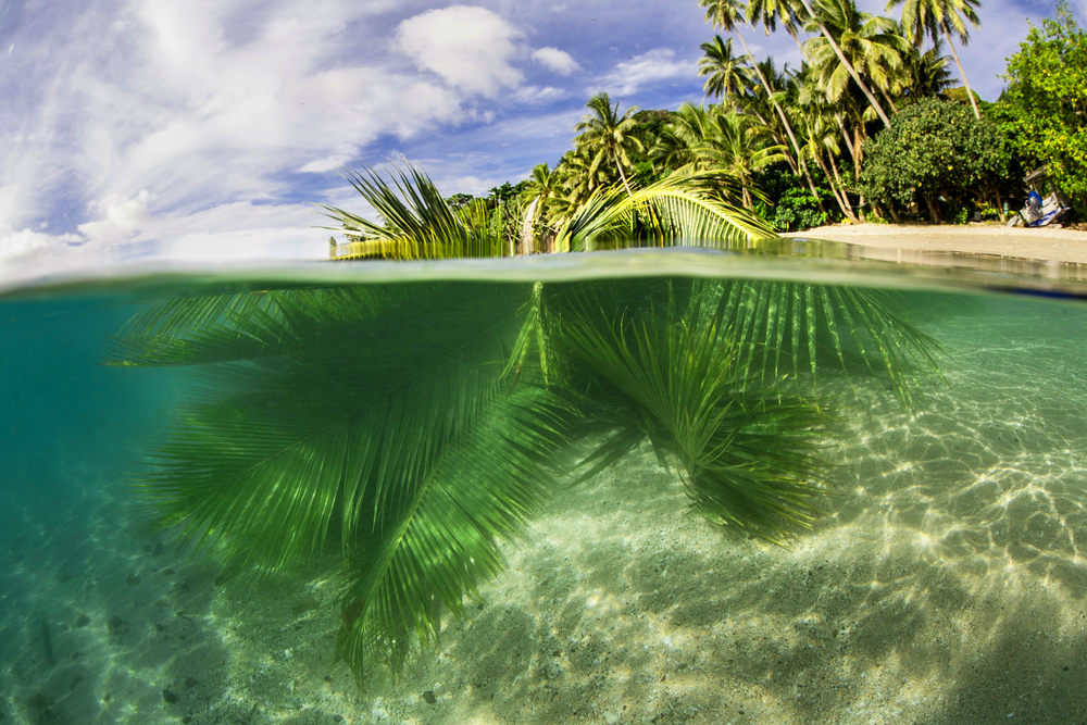 COP23: Islands at Risk