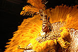 Lights out for the Carnival of Brazil? (Peter Molnar / Shutterstock.com)