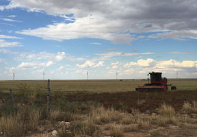 Allianz and Bank of America Merrill Lynch invest in EDF Renewable Energy wind parks in New Mexico 