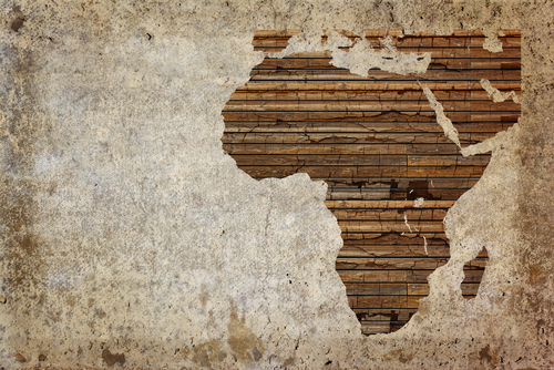 Euler Hermes: Despite its woes, Africa’s potential remains significant